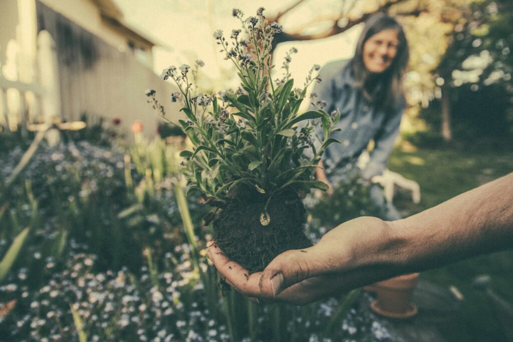 14. Gardening Apps For Android