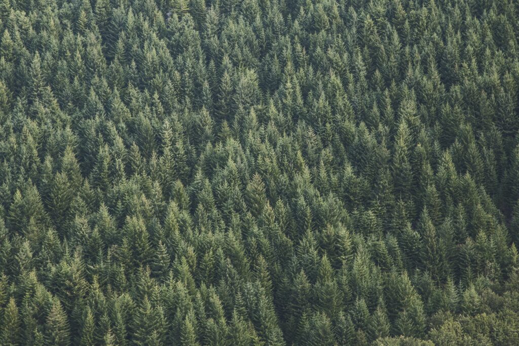 3. Nature-themed Android Wallpapers