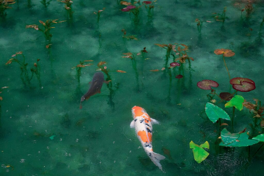 3. Nature-themed Android Wallpapers