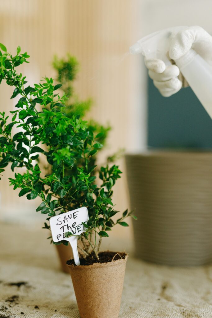 6. Plant Identification Apps