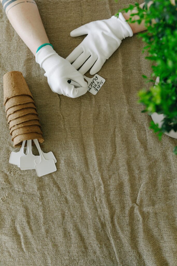 6. Plant Identification Apps