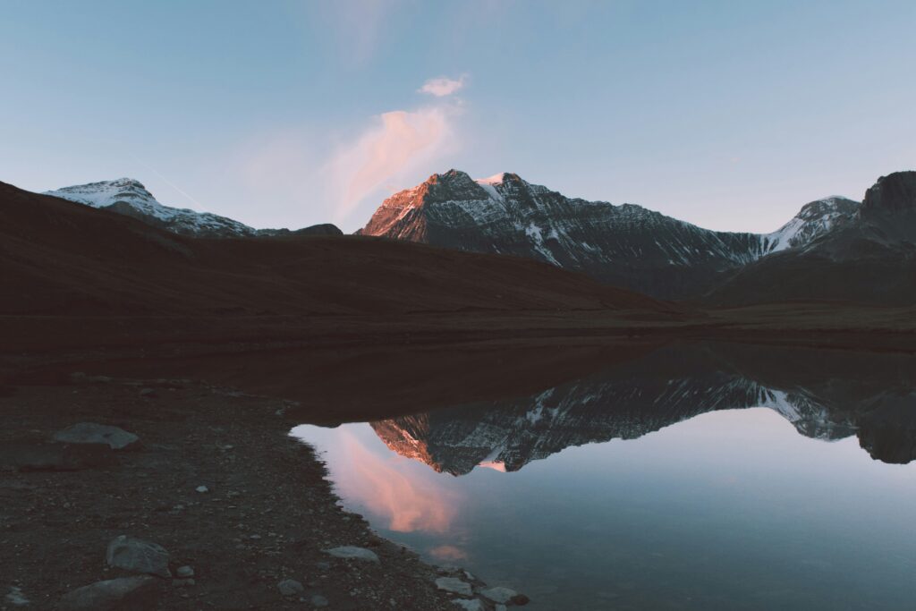 7. Nature-inspired Android Themes